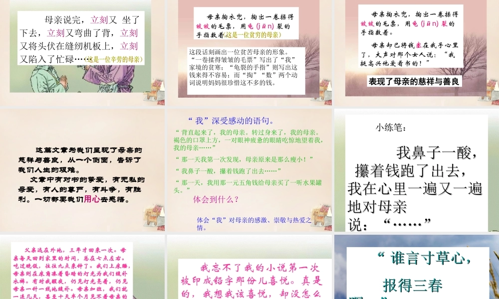 春五年级语文下册 11《慈母情深》课件2 沪教版-沪教版小学五年级下册语文课件