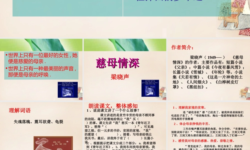 春五年级语文下册 11《慈母情深》课件3 沪教版-沪教版小学五年级下册语文课件