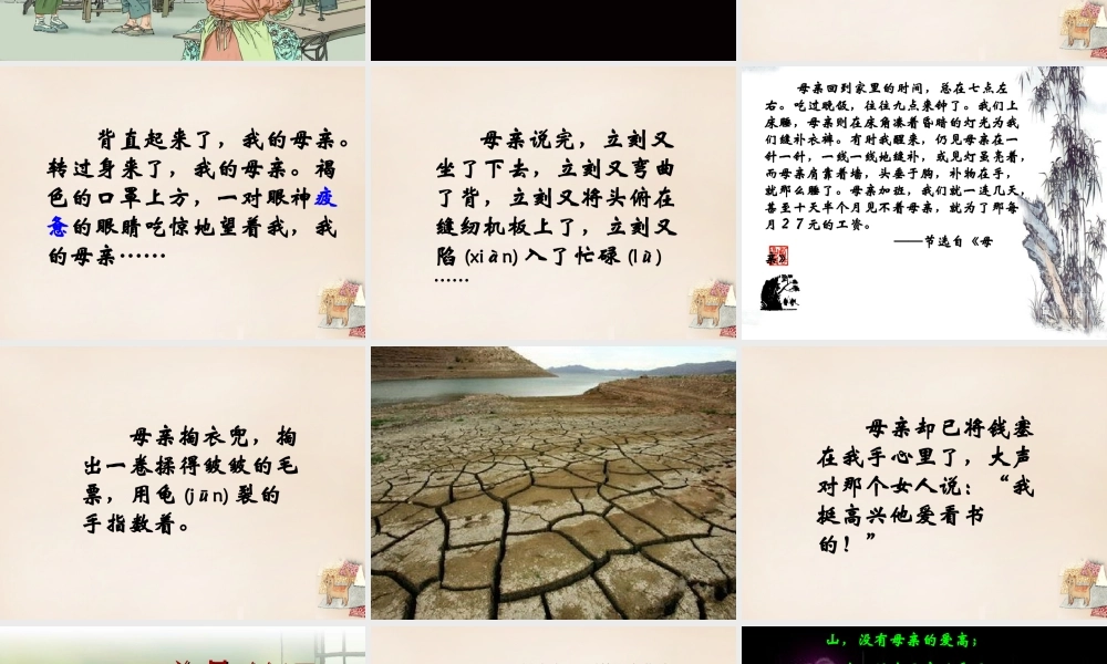 春五年级语文下册 11《慈母情深》课件4 沪教版-沪教版小学五年级下册语文课件