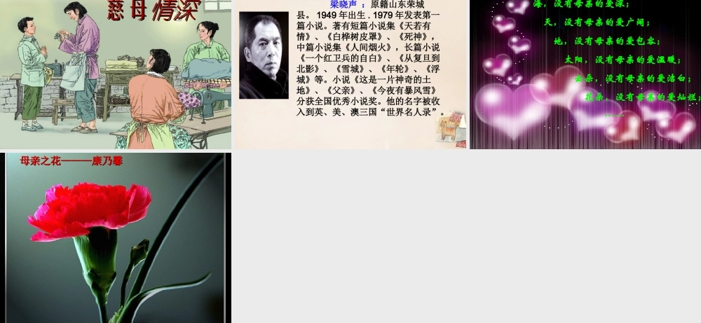 春五年级语文下册 11《慈母情深》课件4 沪教版-沪教版小学五年级下册语文课件