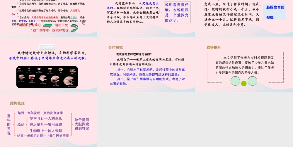 春五年级语文下册 第八单元 23《童年的发现》课堂教学课件 新人教版-新人教版小学五年级下册语文课件