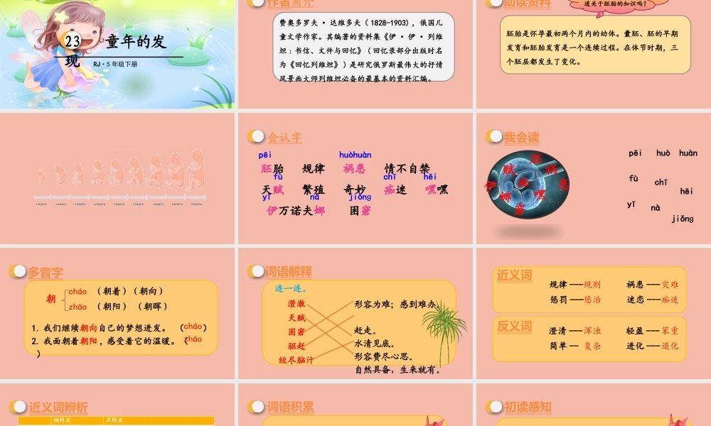 春五年级语文下册 第八单元 第2的发现教学课件 新人教版-新人教级下册语文课件