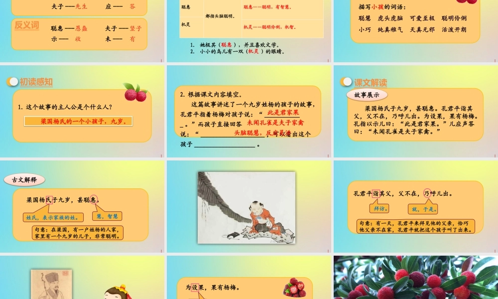 春五年级语文下册 第八单元 第21课 杨氏之子教学课件 新人教版-新人教版小学五年级下册语文课件