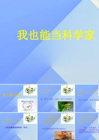 秋三年级科学上册 8.3《我也能当科学家》课件1 大象版-大象版小学三年级上册自然科学课件