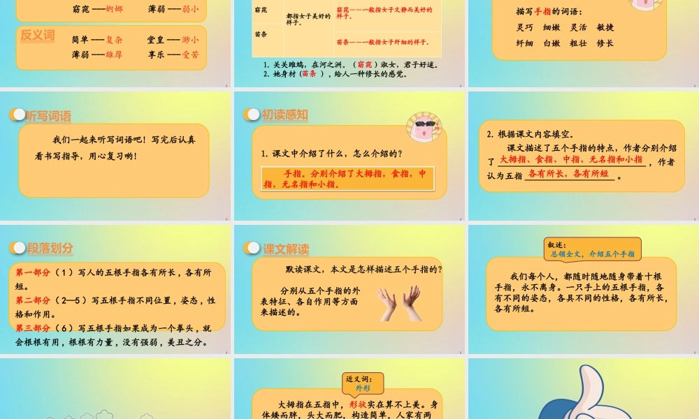 春五年级语文下册 第八单元 第22课 手指教学课件 新人教版-新人教版小学五年级下册语文课件