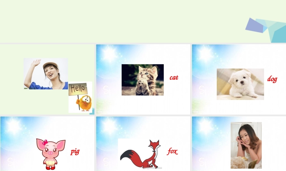 秋三年级英语上册 Lesson 1 I am a cat课件4 科普版-人教版小学三年级上册英语课件