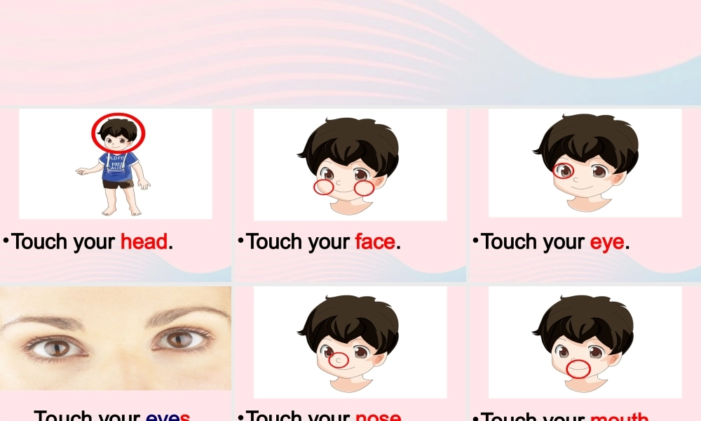 春三年级英语下册 Unit 5 Parts of the body课件1 闽教版（三起）-闽教版小学三年级下册英语课件