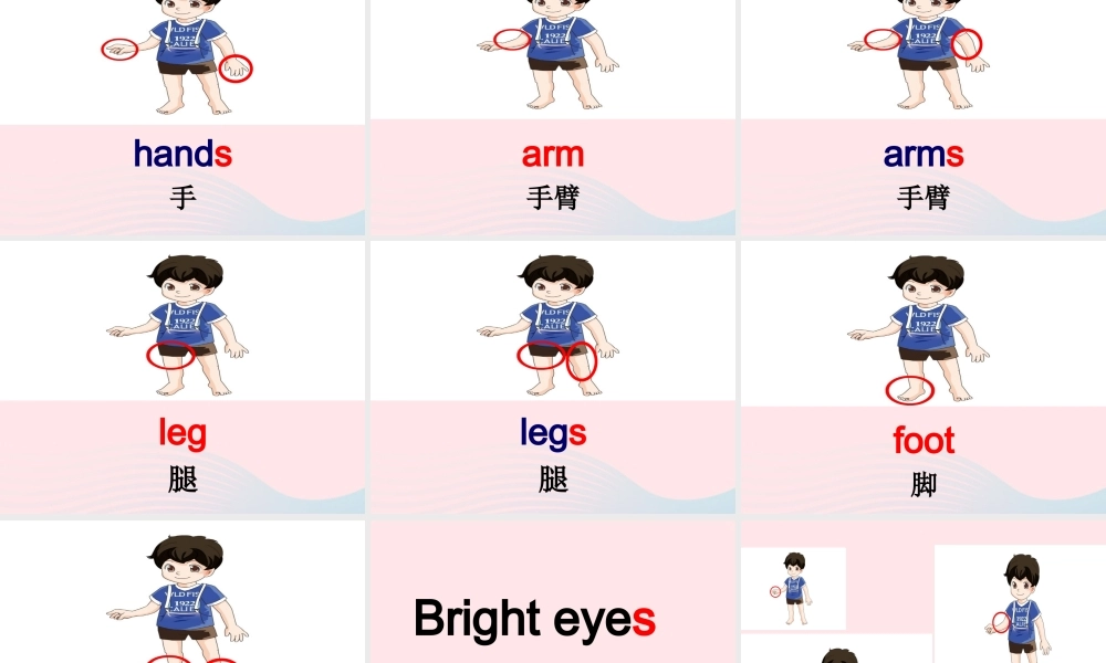 春三年级英语下册 Unit 5 Parts of the body课件1 闽教版（三起）-闽教版小学三年级下册英语课件