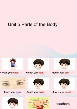春三年级英语下册 Unit 5 Parts of the body课件1 闽教版（三起）-闽教版小学三年级下册英语课件