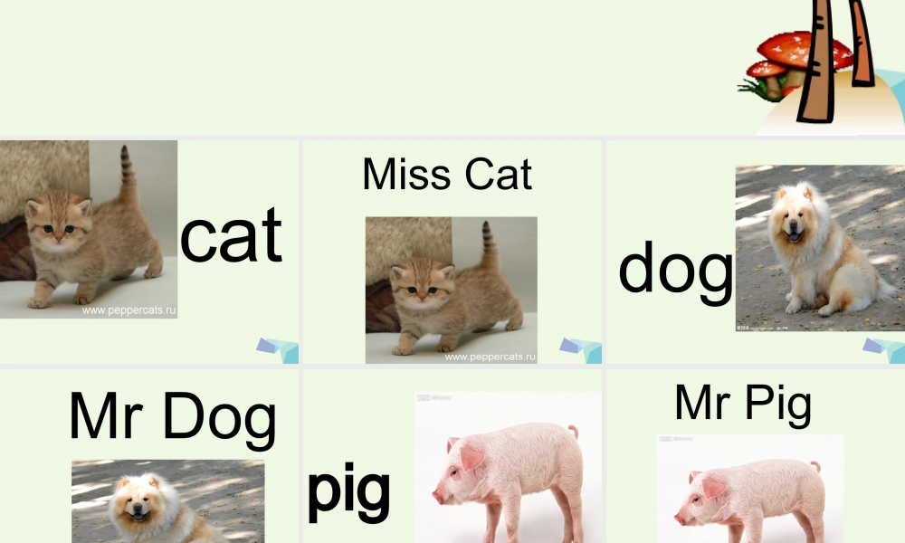 秋三年级英语上册 Lesson 2 Are you Mr Dog课件1 科普版-人教版小学三年级上册英语课件