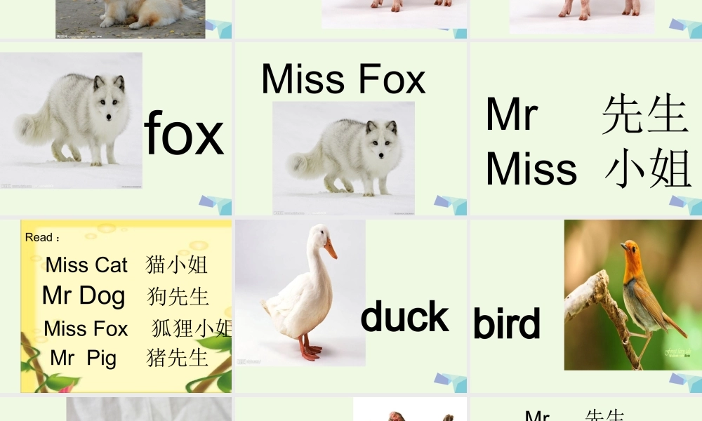 秋三年级英语上册 Lesson 2 Are you Mr Dog课件1 科普版-人教版小学三年级上册英语课件