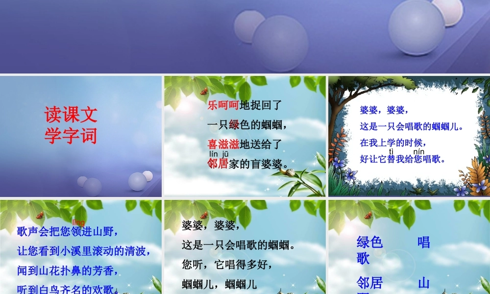 春二年级语文下册 第三单元 第8课《送给盲婆婆的蝈蝈》教学课件1 冀教版-冀教版小学二年级下册语文课件