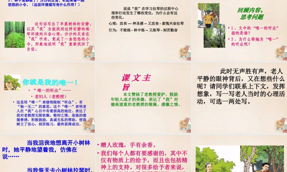 春五年级语文下册 28《唯一的听众》课件1 沪教版-沪教版小学五年级下册语文课件