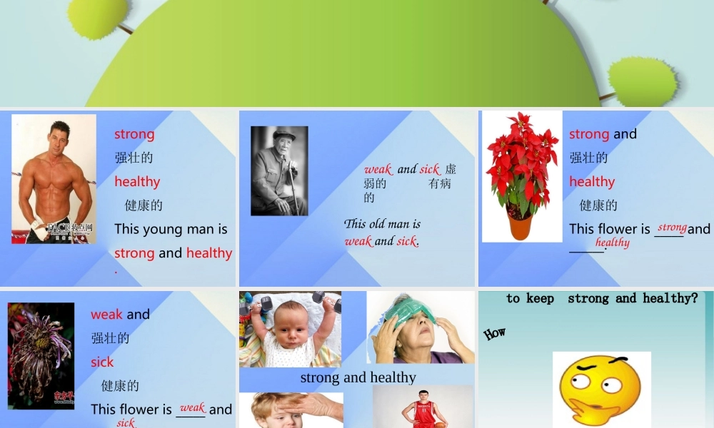 春六年级英语下册 Lesson 7《Always have breakfast》课件3 （新版）冀教版（三起）-（新版）冀教版小学六年级下册英语课件