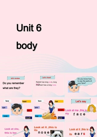 春三年级英语下册 Unit 6 Body课件1 剑桥版-人教版小学三年级下册英语课件