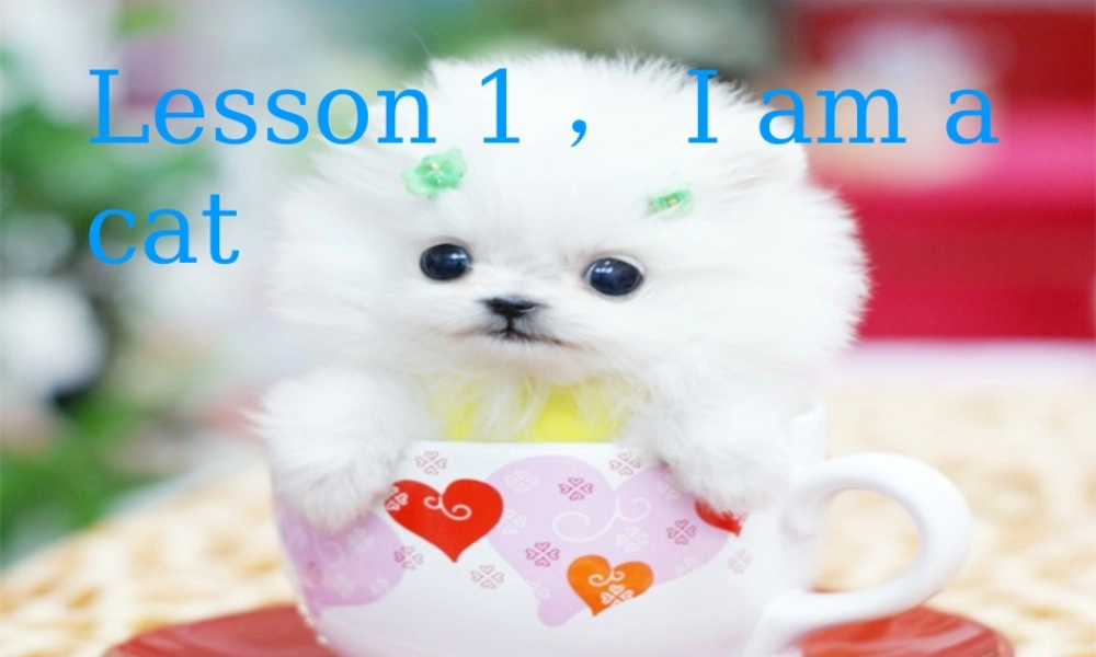 秋三年级英语上册 Lesson 3 Nice to meet you课件4 科普版-人教版小学三年级上册英语课件