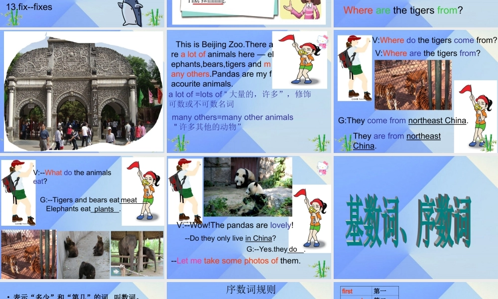 春六年级英语下册 Lesson 7《Where do the tigers come from》课件 科普版-人教版小学六年级下册英语课件