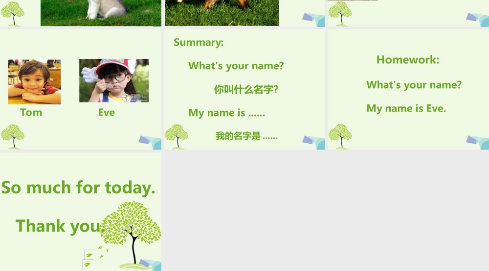 秋三年级英语上册 Lesson 4 What’s your name课件1 科普版-人教版小学三年级上册英语课件