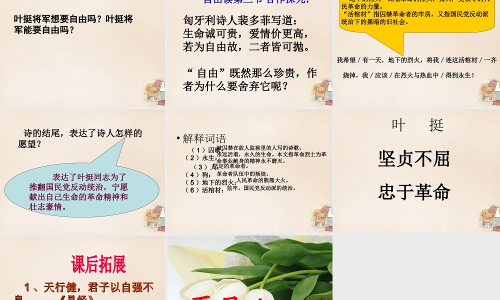 春五年级语文下册 31《囚歌》课件2 沪教版-沪教版小学五年级下册语文课件