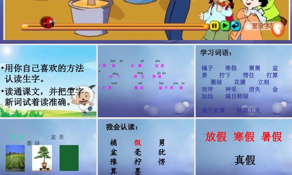 春二年级语文下册 第四单元 第12课《树上的橘子》课件1 冀教版-冀教版小学二年级下册语文课件