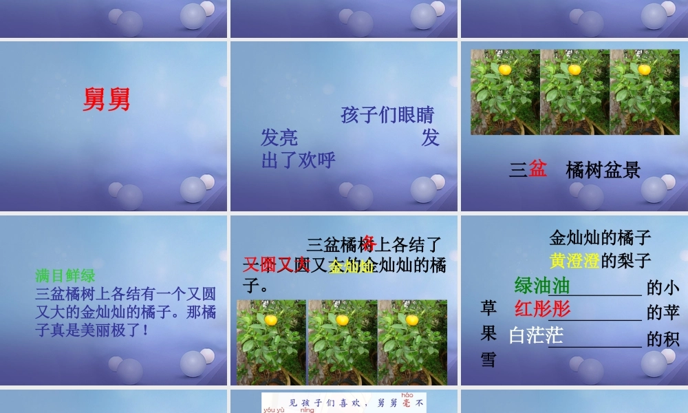 春二年级语文下册 第四单元 第12课《树上的橘子》课件1 冀教版-冀教版小学二年级下册语文课件