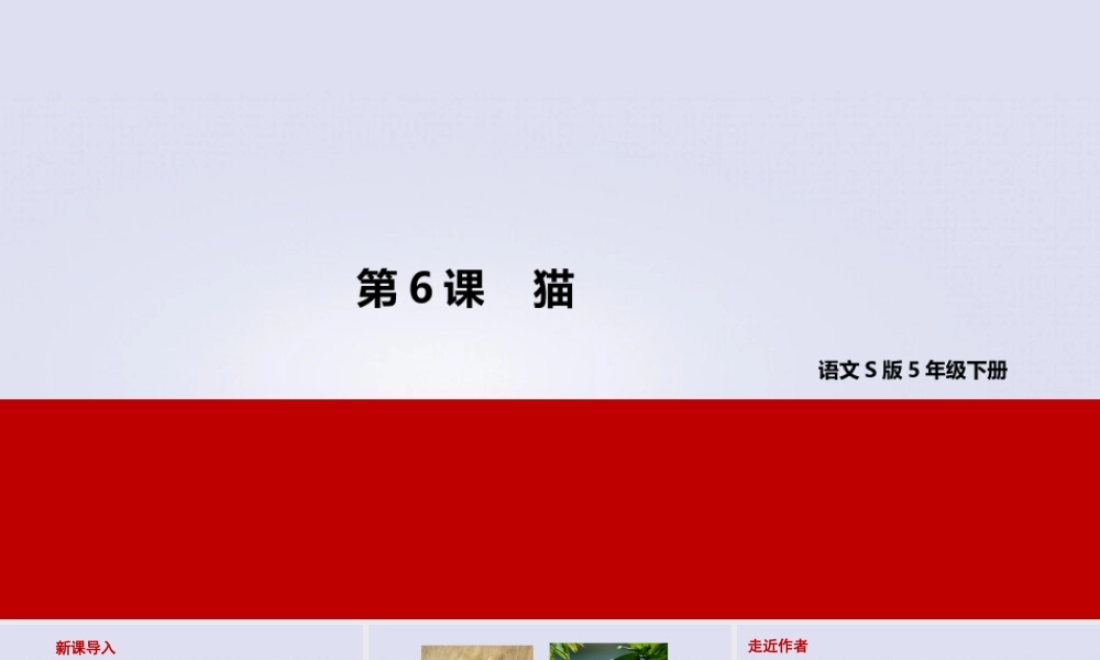 春五年级语文下册 第二单元 6 猫教学课件 语文S版-语文S版小学五年级下册语文课件