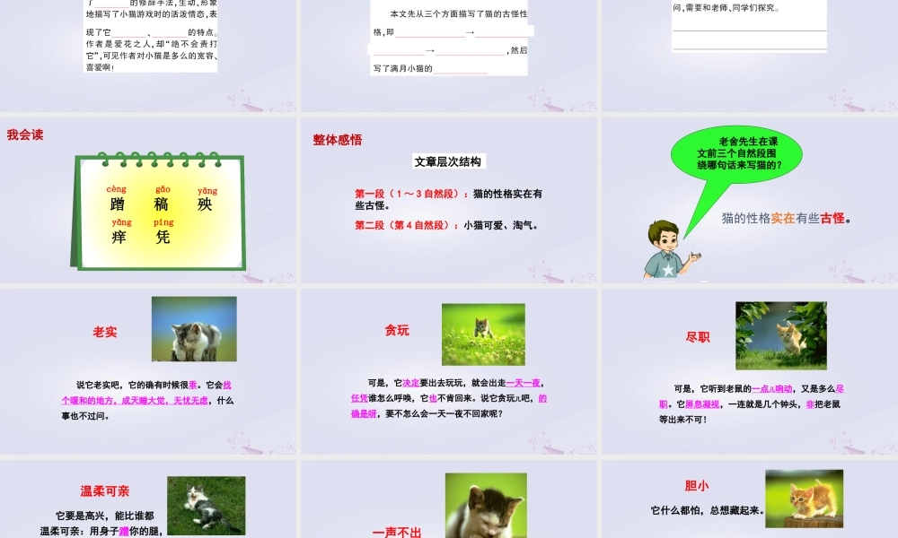 春五年级语文下册 第二单元 6 猫教学课件 语文S版-语文S版小学五年级下册语文课件