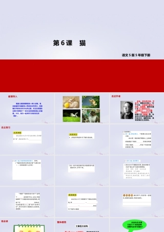 春五年级语文下册 第二单元 6 猫教学课件 语文S版-语文S版小学五年级下册语文课件