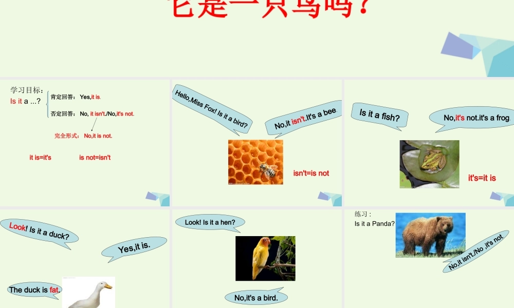 秋三年级英语上册 Lesson 7 Is it a bird课件4 科普版-人教版小学三年级上册英语课件