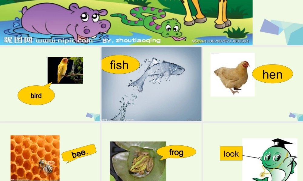 秋三年级英语上册 Lesson 7 Is it a bird课件5 科普版-人教版小学三年级上册英语课件
