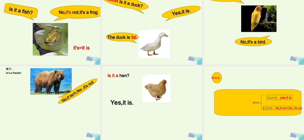 秋三年级英语上册 Lesson 7 Is it a bird课件5 科普版-人教版小学三年级上册英语课件