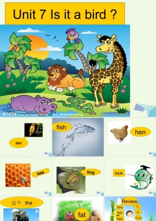 秋三年级英语上册 Lesson 7 Is it a bird课件5 科普版-人教版小学三年级上册英语课件