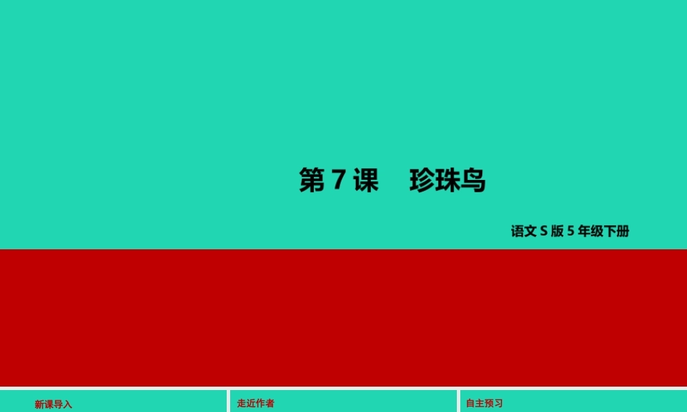 春五年级语文下册 第二单元 7 珍珠鸟教学课件 语文S版-语文S版小学五年级下册语文课件