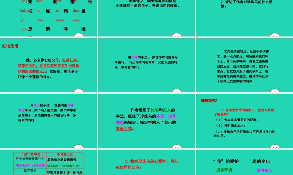 春五年级语文下册 第二单元 7 珍珠鸟教学课件 语文S版-语文S版小学五年级下册语文课件