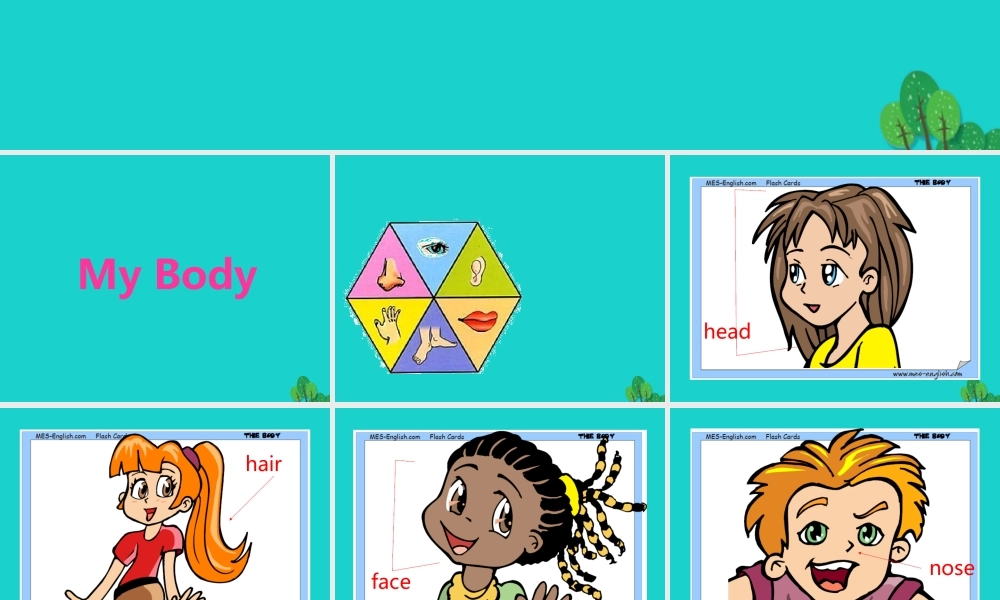 秋三年级英语上册 Lesson 8 What’s this课件1 科普版-人教版小学三年级上册英语课件