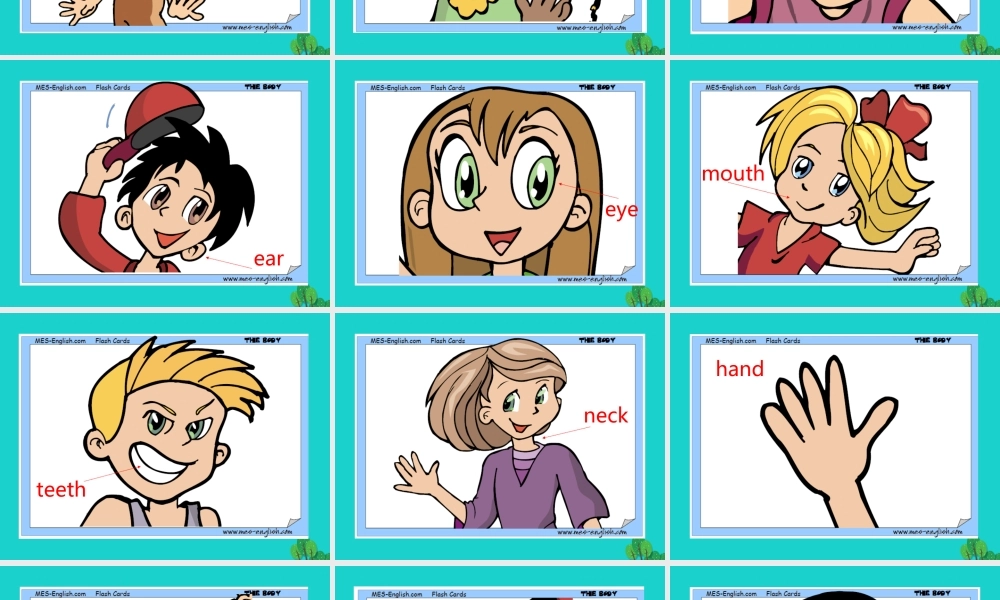 秋三年级英语上册 Lesson 8 What’s this课件1 科普版-人教版小学三年级上册英语课件