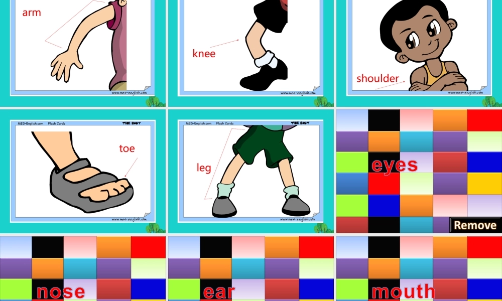 秋三年级英语上册 Lesson 8 What’s this课件1 科普版-人教版小学三年级上册英语课件