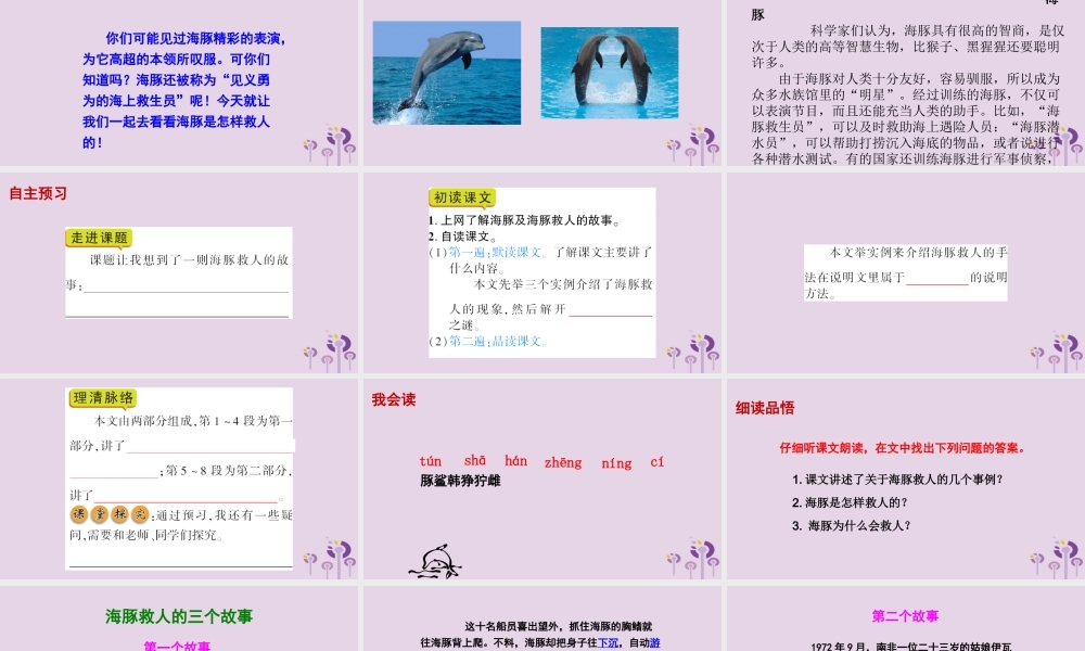 春五年级语文下册 第二单元 8 海豚救人教学课件 语文S版-语文S版小学五年级下册语文课件
