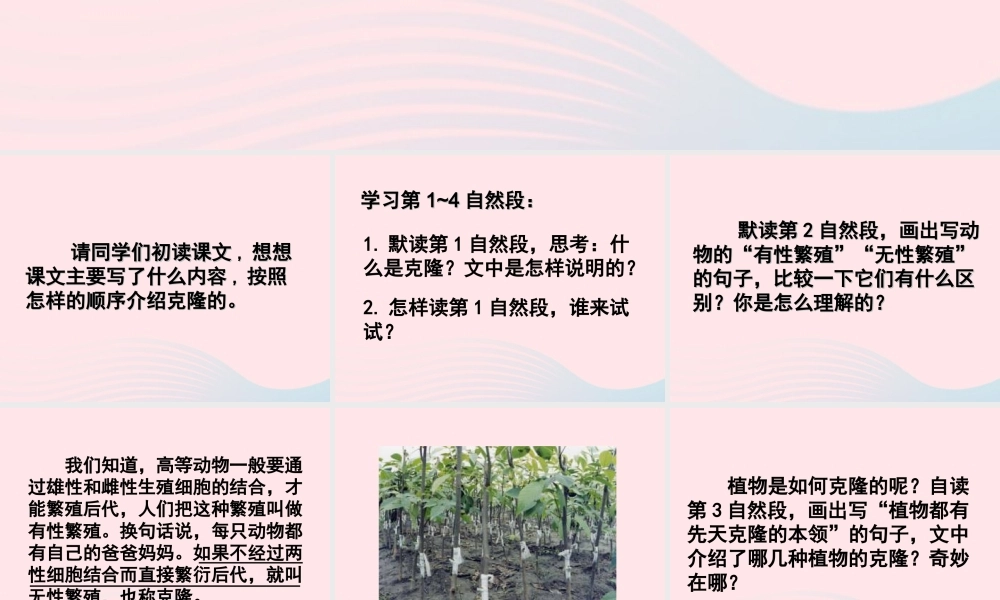 春五年级语文下册 第二单元 8 神奇的克隆教学课件 苏教版-苏教版小学五年级下册语文课件