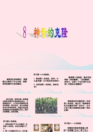 春五年级语文下册 第二单元 8 神奇的克隆教学课件 苏教版-苏教版小学五年级下册语文课件