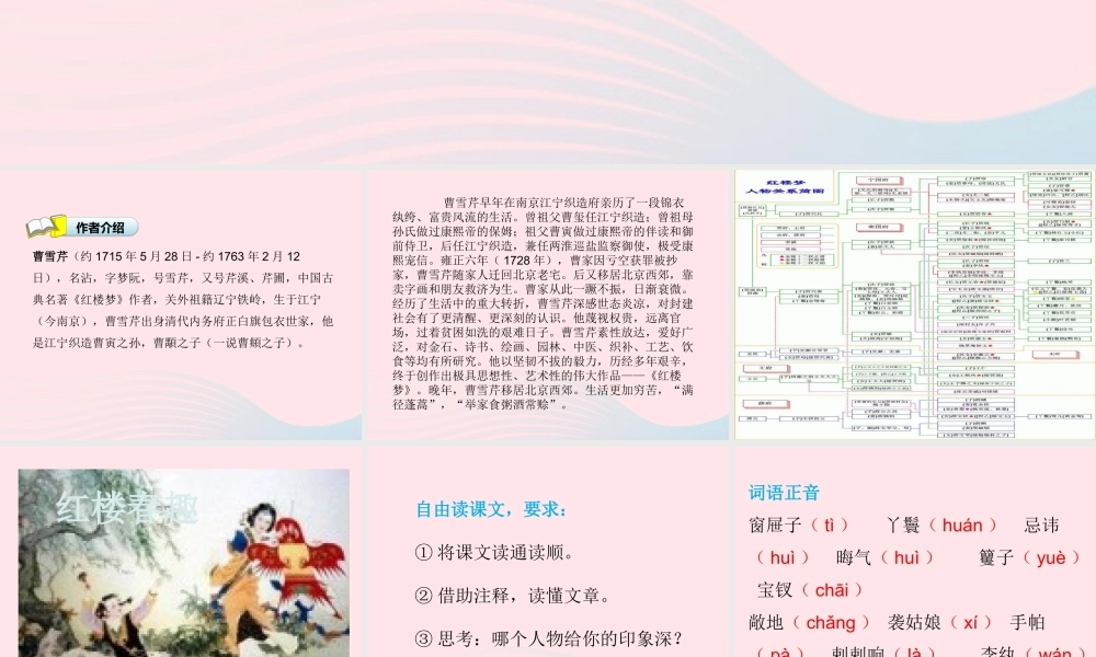 春五年级语文下册 第二单元 8红楼春趣课件 新人教版-新人教版小学五年级下册语文课件