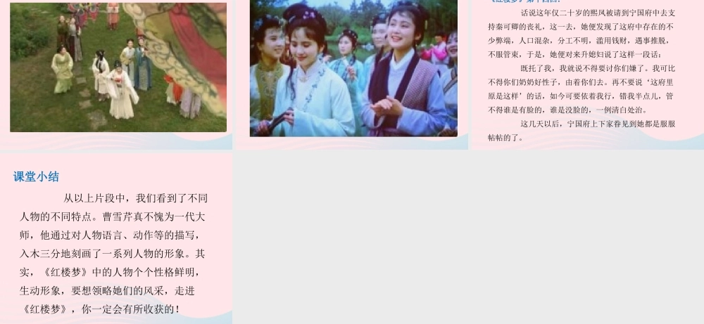 春五年级语文下册 第二单元 8红楼春趣课件 新人教版-新人教版小学五年级下册语文课件