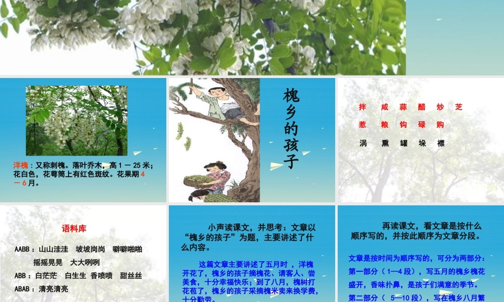 春五年级语文下册 第1课《槐乡的孩子》教学课件 冀教版-冀教版小学五年级下册语文课件