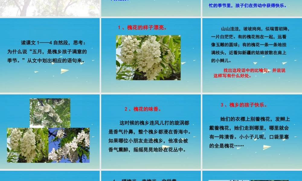 春五年级语文下册 第1课《槐乡的孩子》教学课件 冀教版-冀教版小学五年级下册语文课件