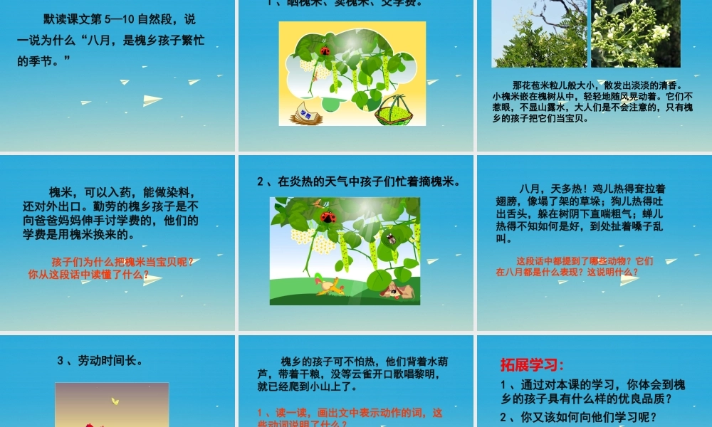 春五年级语文下册 第1课《槐乡的孩子》教学课件 冀教版-冀教版小学五年级下册语文课件