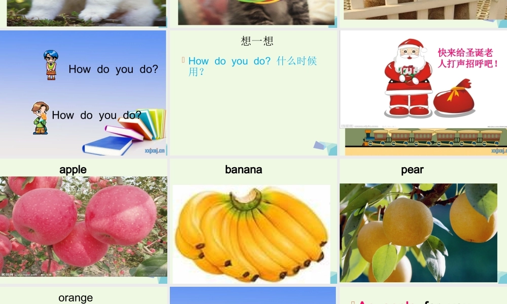 秋三年级英语上册 Lesson 11 How do you do课件1 科普版-人教版小学三年级上册英语课件