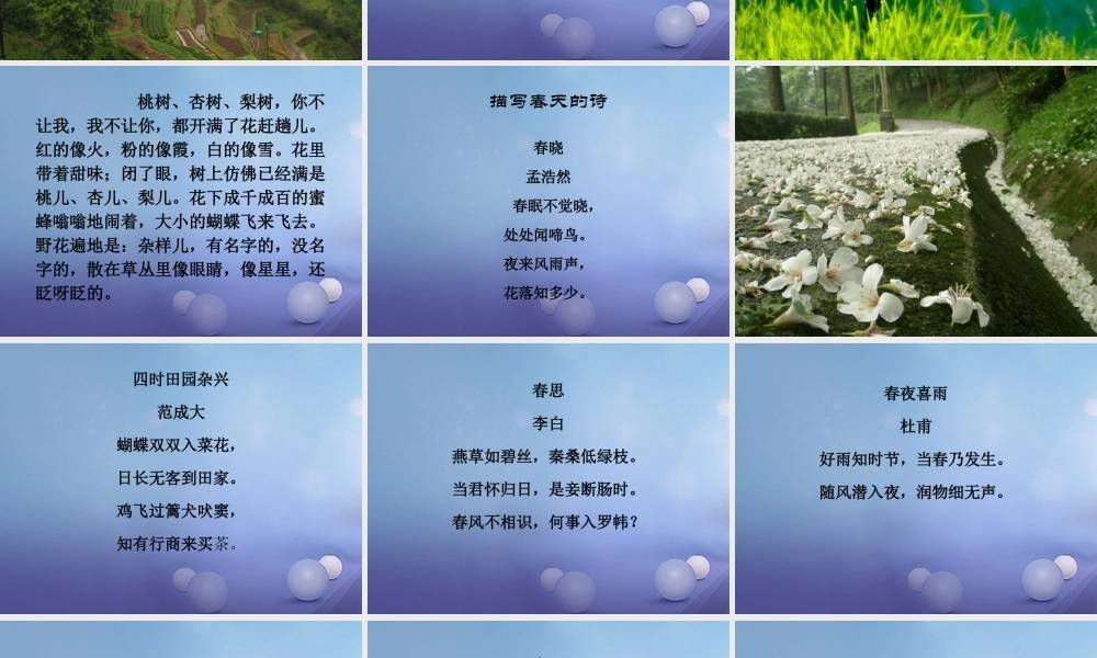 春二年级语文下册 第一单元 第1课《古诗二首》（春游湖）知识拓展“春天”的知识课件 冀教版-冀教版小学二年级下册语文课件