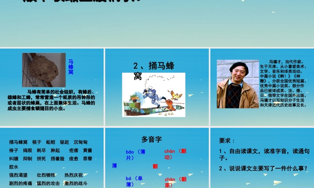 春五年级语文下册 第2课《捅马蜂窝》教学课件 冀教版-冀教版小学五年级下册语文课件