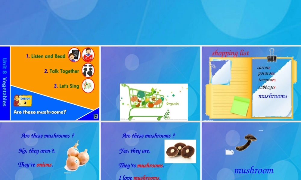 春三年级英语下册 Unit 8《Vegetables》课件2 北师大版（三起）-北师大版小学三年级下册英语课件