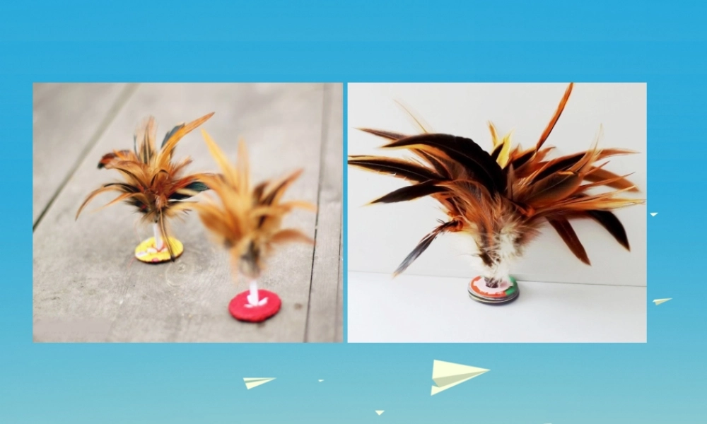 春五年级语文下册 第3课《颤抖的羽毛》教学课件 冀教版-冀教版小学五年级下册语文课件